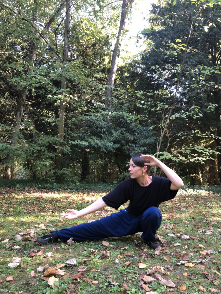 TaiJi Quan Lise Guilbert-Codde, association Artenciel, Saint-Etienne-de-Chigny
