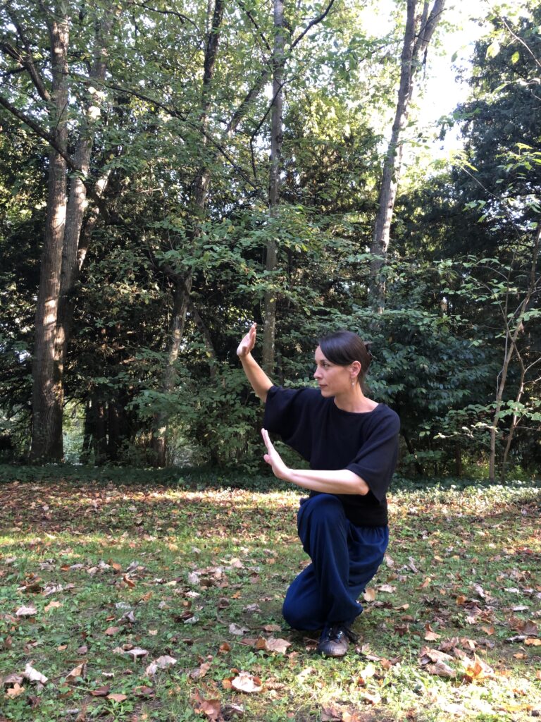 TaiJi Quan Lise Guilbert-Codde, association Artenciel, Saint-Etienne-de-Chigny
